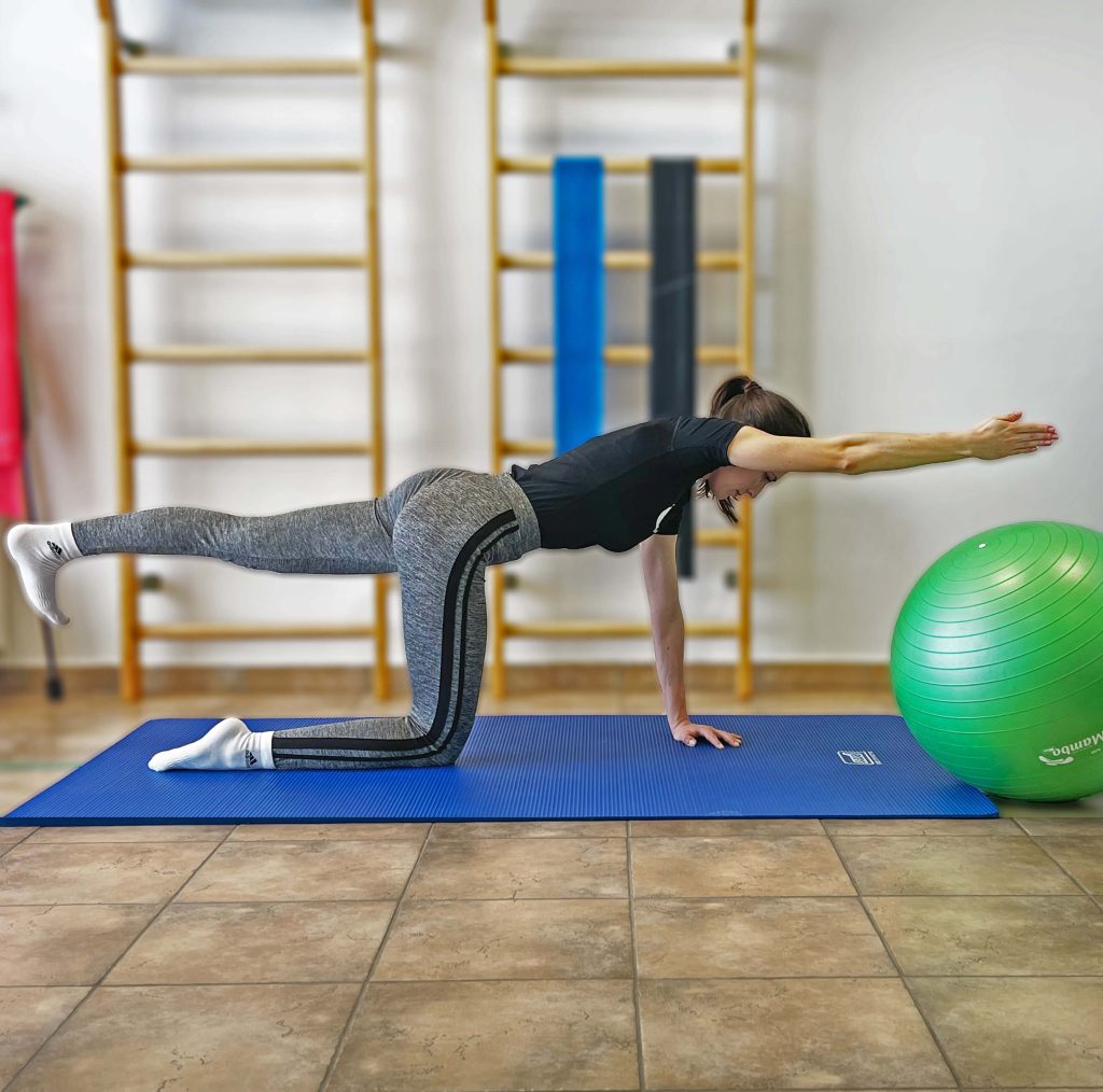 slika Fisioterapia (1)
